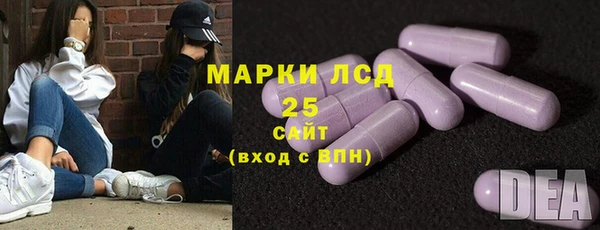 крисы Краснослободск