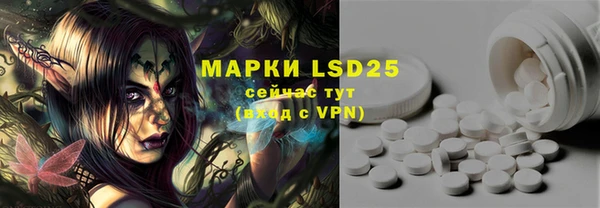 PSILOCYBIN Краснотурьинск