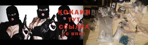 крисы Краснослободск