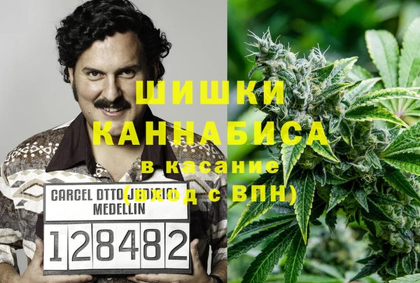 крисы Краснослободск