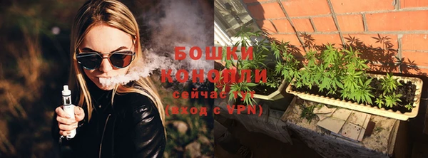 крисы Краснослободск