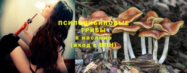 PSILOCYBIN Краснотурьинск