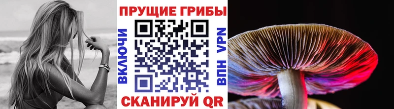 что такое   Менделеевск  кракен как зайти  Галлюциногенные грибы Cubensis 