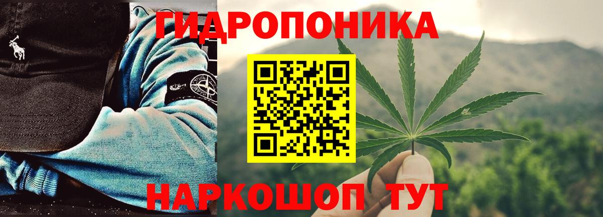Канабис сатива Менделеевск